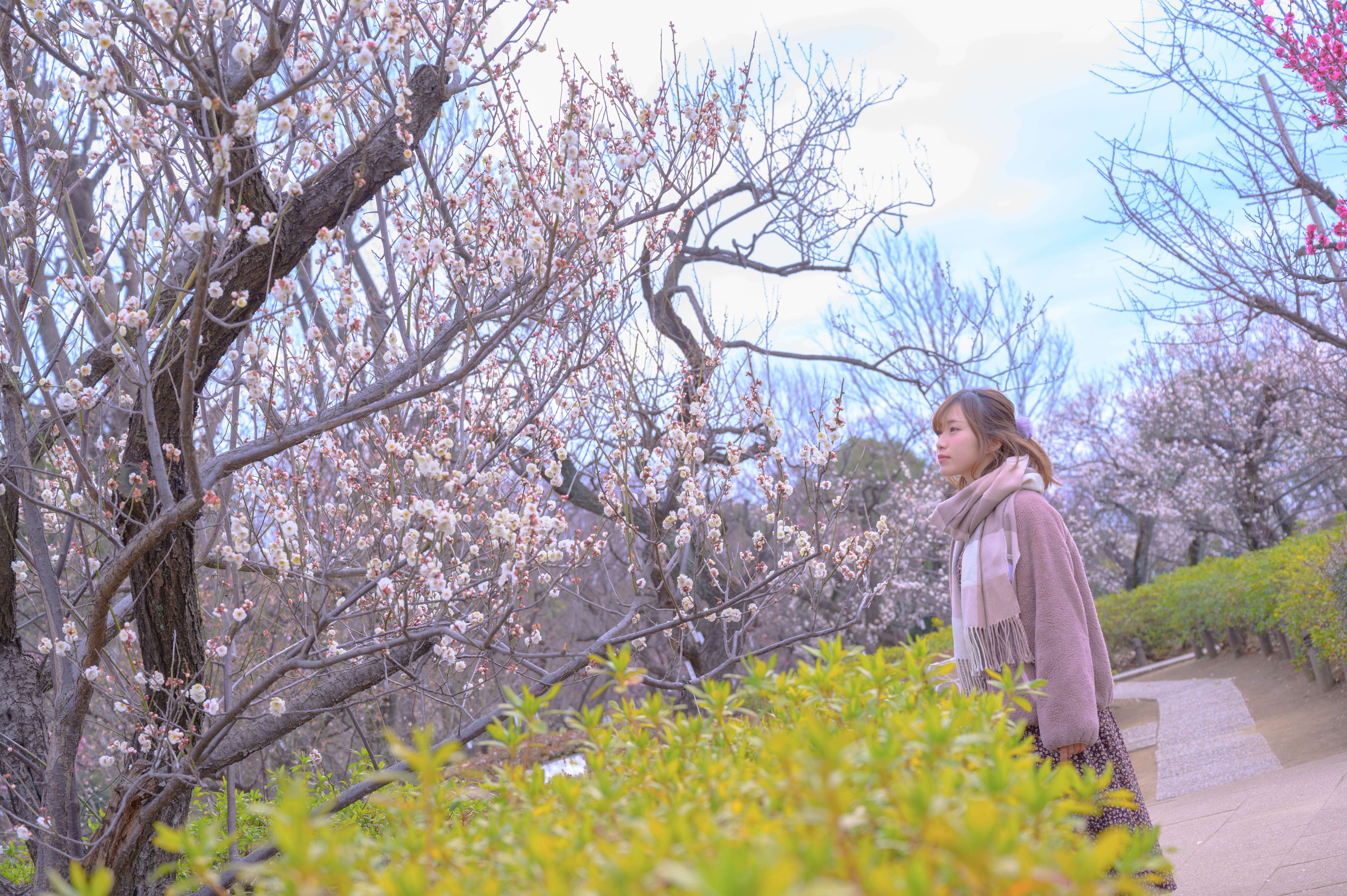 撮影会レビュー Arch撮影会 花梅が咲く羽根木公園でポートレート撮影 Massu Photography